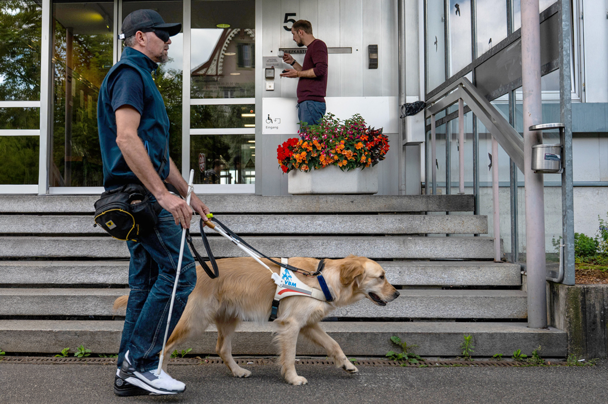 Blindenführhundeinstruktor bei der Arbeit mit dem Hund