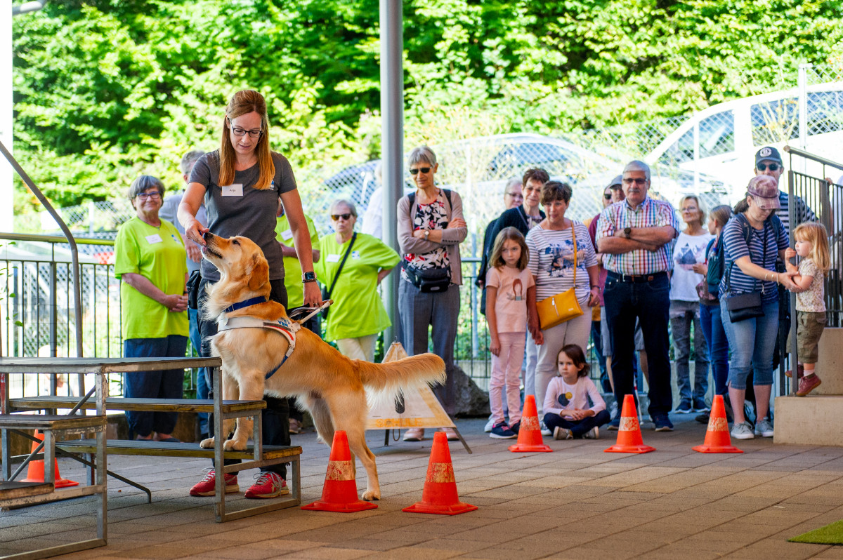 Blindenführhundeinstruktorin zeigt, wie sie einen Blindenhund ausbildet.