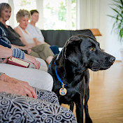 Botschafterhund bei den Seniorinnen und Senioren