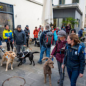 Teilnehmende unterwegs in Baden