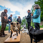 Jägerevent: Eine ausgestopfte Wildsau steh im Mittelpunkt.