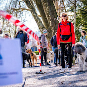 Blindenhundeteam ist parat für den Parcours.