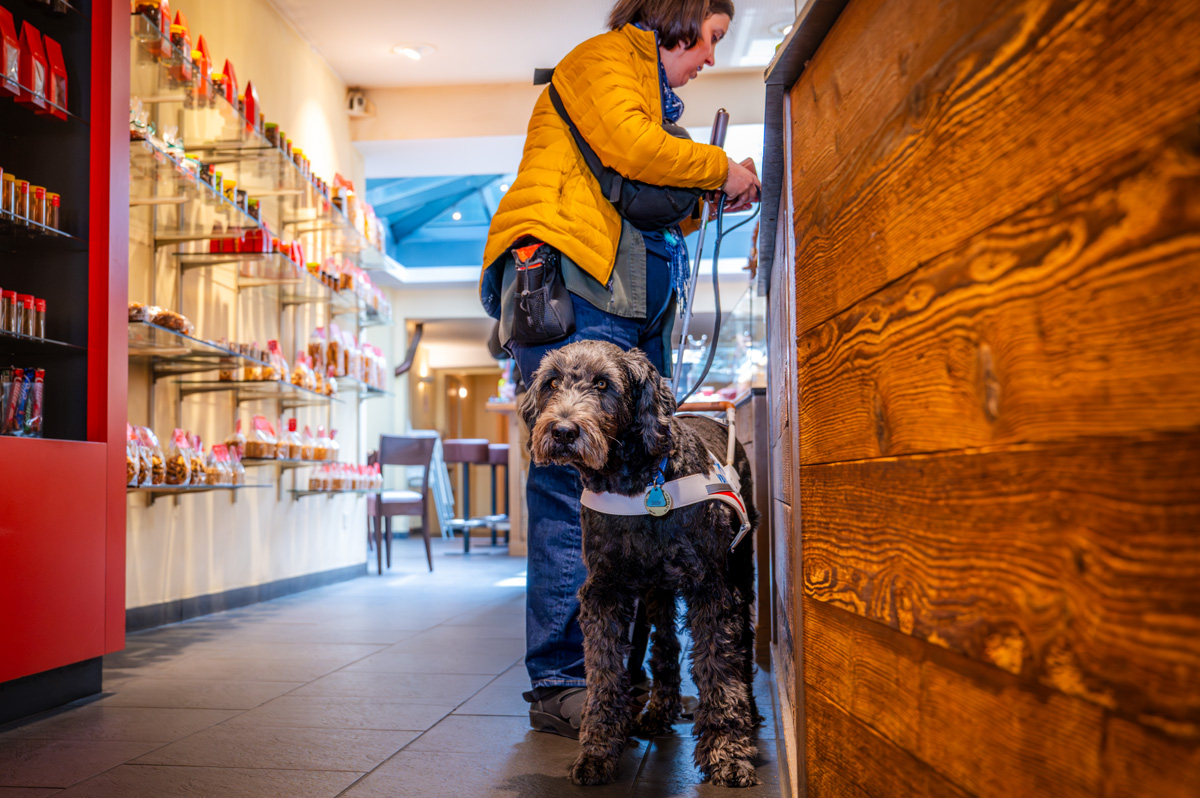Le chien guide Icaro en route avec sa détentrice