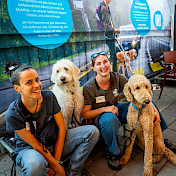 Mitarbeiterinnen mit Hunden in Ausbildung