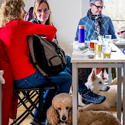Blindenhund Odilo hat es sich unter dem Tisch bequem gemacht.