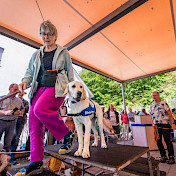Vorführung der Junghunde