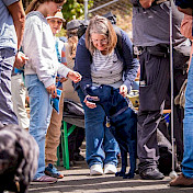Menschen und Hunde beleben das Weideli.
