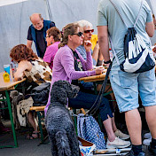 Sehende und Sehbehinderte feiern gemeinsam und sitzen zusammen.